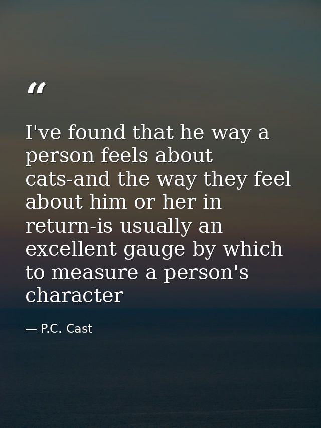 I've found that he way a person feels about cats-and the way they feel about him or her in return-is usually an excellen — P.C. Cast