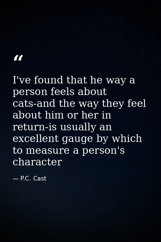I've found that he way a person feels about cats-and the way they feel about him or her in return-is usually an excellen — P.C. Cast