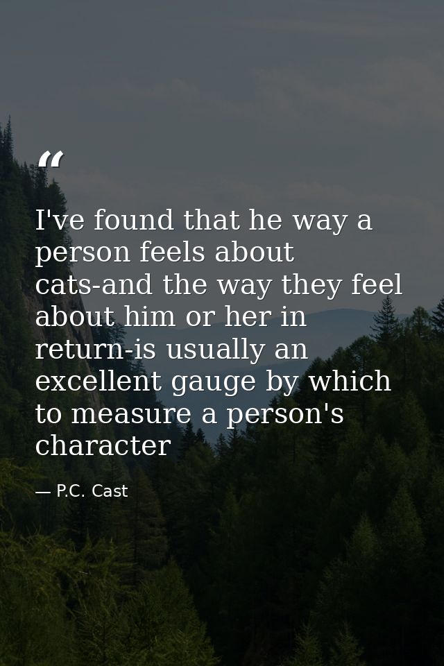 I've found that he way a person feels about cats-and the way they feel about him or her in return-is usually an excellen — P.C. Cast