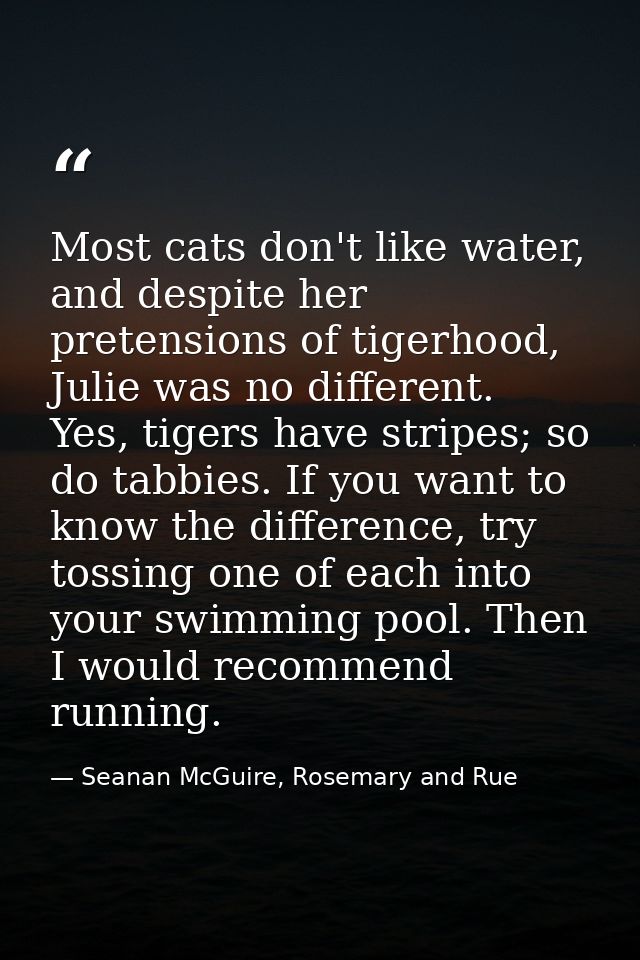 Most cats don't like water, and despite her pretensions of tigerhood, Julie was no different. Yes, tigers have stripes;  — Seanan McGuire, Rosemary and Rue