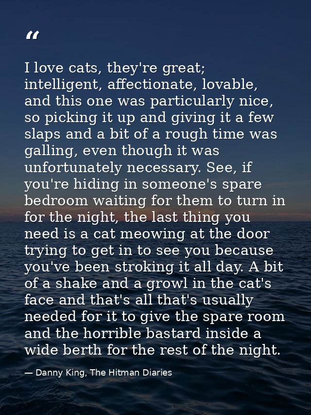 I love cats, they're great; intelligent, affectionate, lovable, and this one was particularly nice, so picking it up and — Danny King, The Hitman Diaries