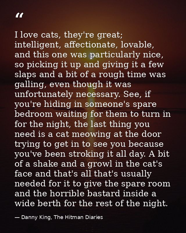 I love cats, they're great; intelligent, affectionate, lovable, and this one was particularly nice, so picking it up and — Danny King, The Hitman Diaries