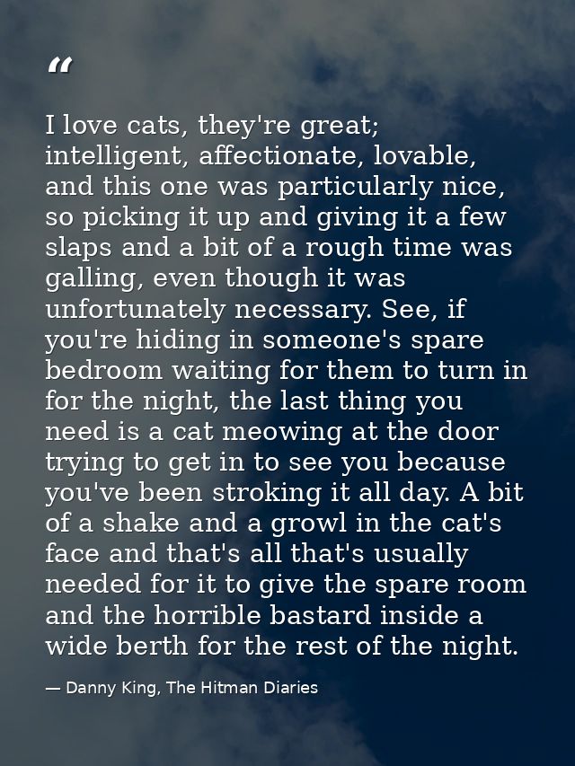 I love cats, they're great; intelligent, affectionate, lovable, and this one was particularly nice, so picking it up and — Danny King, The Hitman Diaries