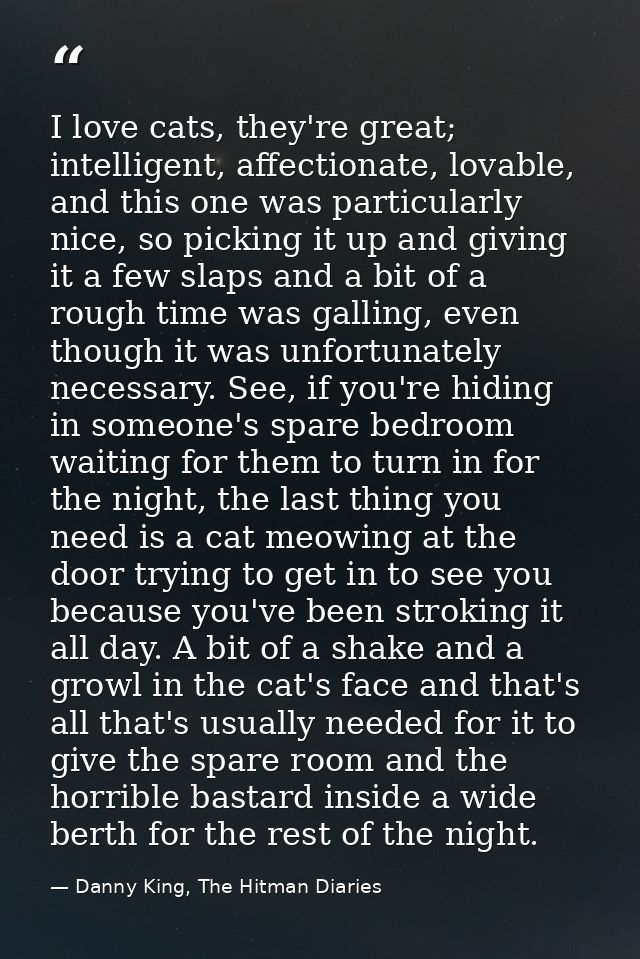I love cats, they're great; intelligent, affectionate, lovable, and this one was particularly nice, so picking it up and — Danny King, The Hitman Diaries