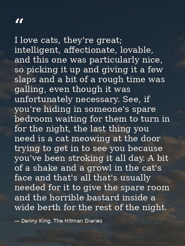 I love cats, they're great; intelligent, affectionate, lovable, and this one was particularly nice, so picking it up and — Danny King, The Hitman Diaries