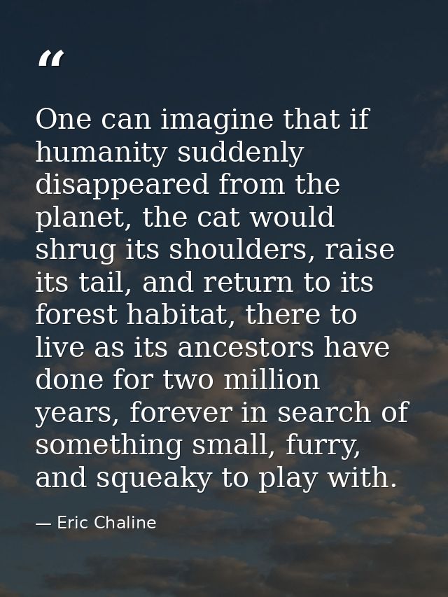 One can imagine that if humanity suddenly disappeared from the planet, the cat would shrug its shoulders, raise its tail — Eric Chaline