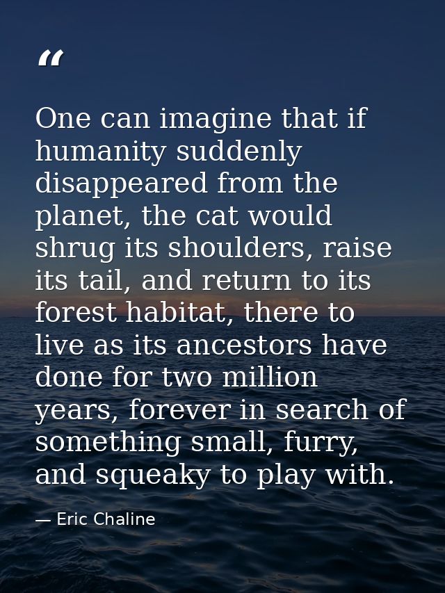 One can imagine that if humanity suddenly disappeared from the planet, the cat would shrug its shoulders, raise its tail — Eric Chaline