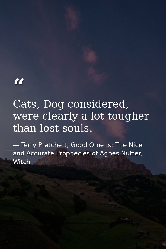 Cats, Dog considered, were clearly a lot tougher than lost souls. — Terry Pratchett, Good Omens: The Nice and Accurate Prophecies of Agnes Nutter, Witch