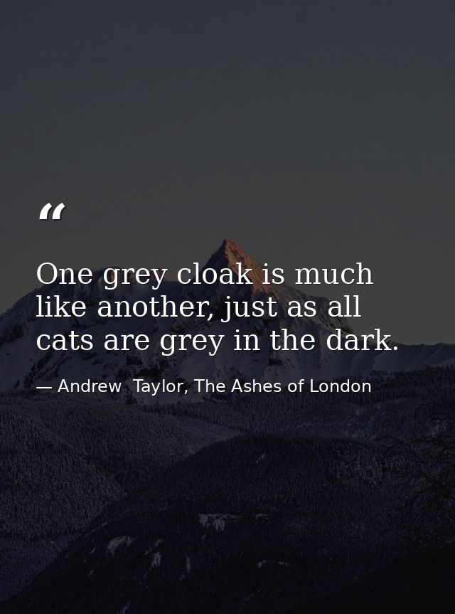 One grey cloak is much like another, just as all cats are grey in the dark. — Andrew  Taylor, The Ashes of London