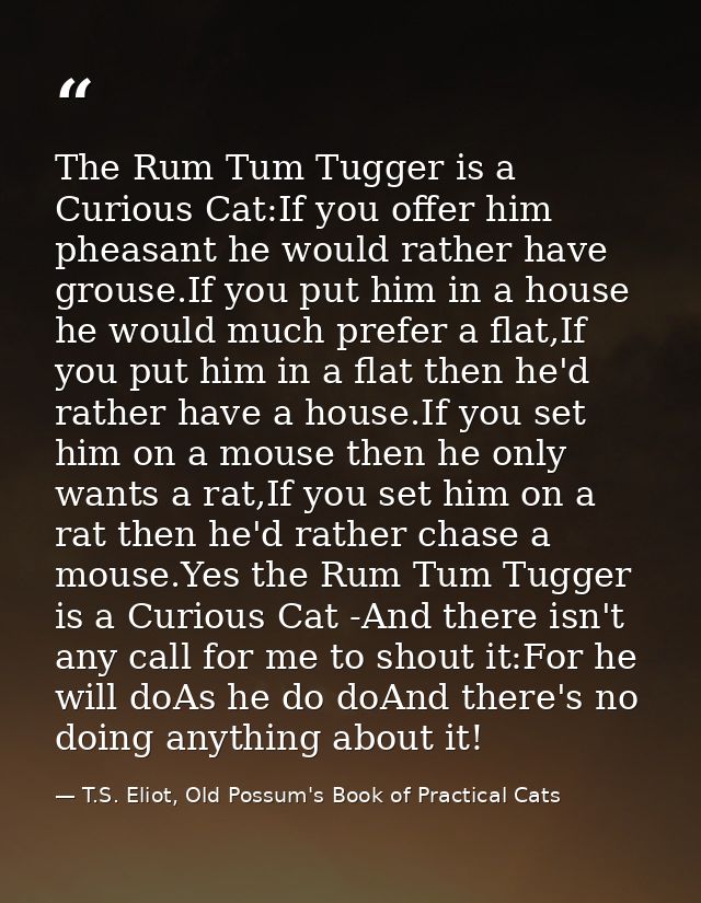 The Rum Tum Tugger is a Curious Cat:If you offer him pheasant he would rather have grouse.If you put him in a house he w — T.S. Eliot, Old Possum's Book of Practical Cats