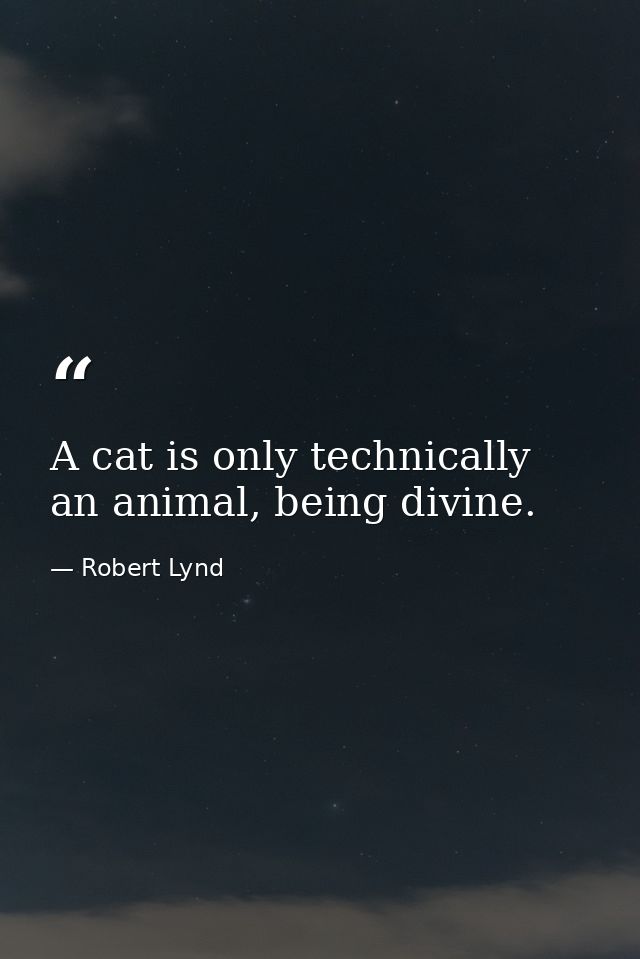 A cat is only technically an animal, being divine. — Robert Lynd