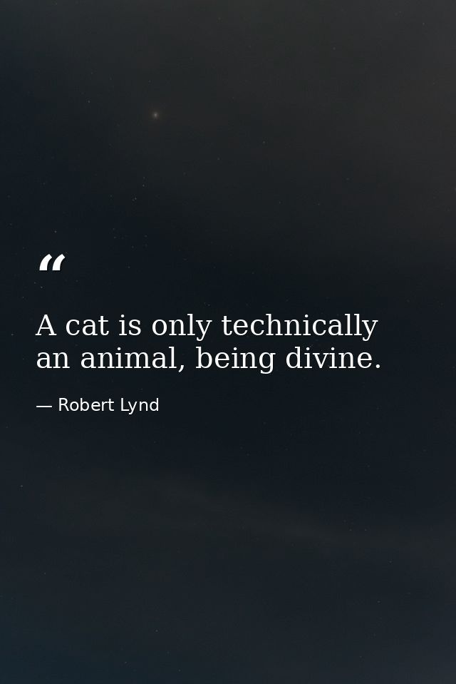 A cat is only technically an animal, being divine. — Robert Lynd