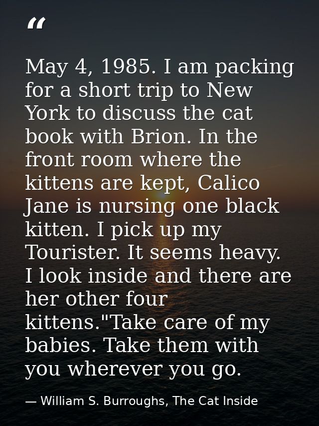 May 4, 1985. I am packing for a short trip to New York to discuss the cat book with Brion. In the front room where the k — William S. Burroughs, The Cat Inside