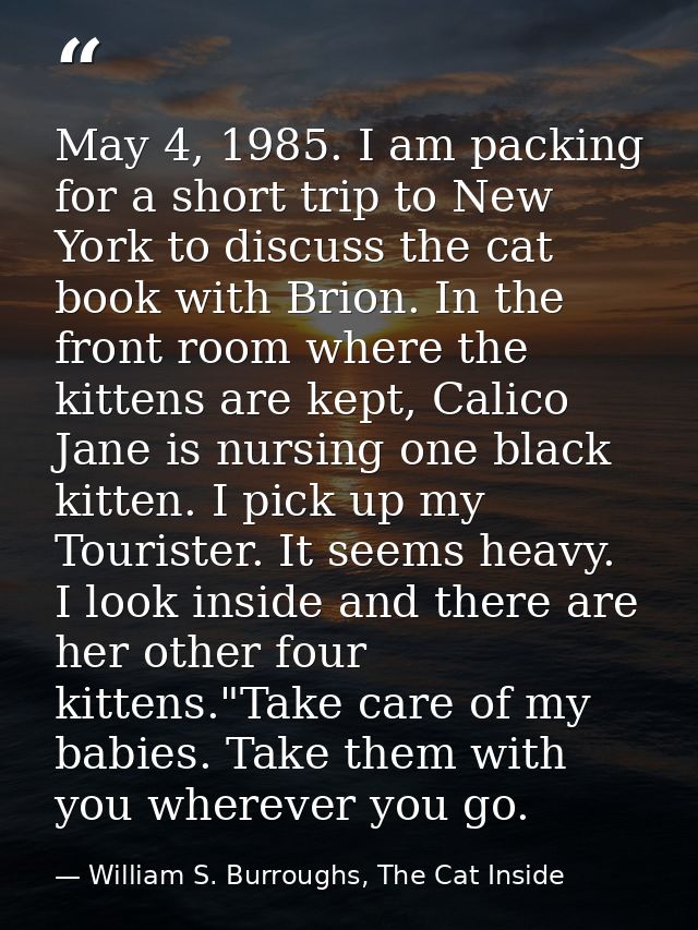 May 4, 1985. I am packing for a short trip to New York to discuss the cat book with Brion. In the front room where the k — William S. Burroughs, The Cat Inside