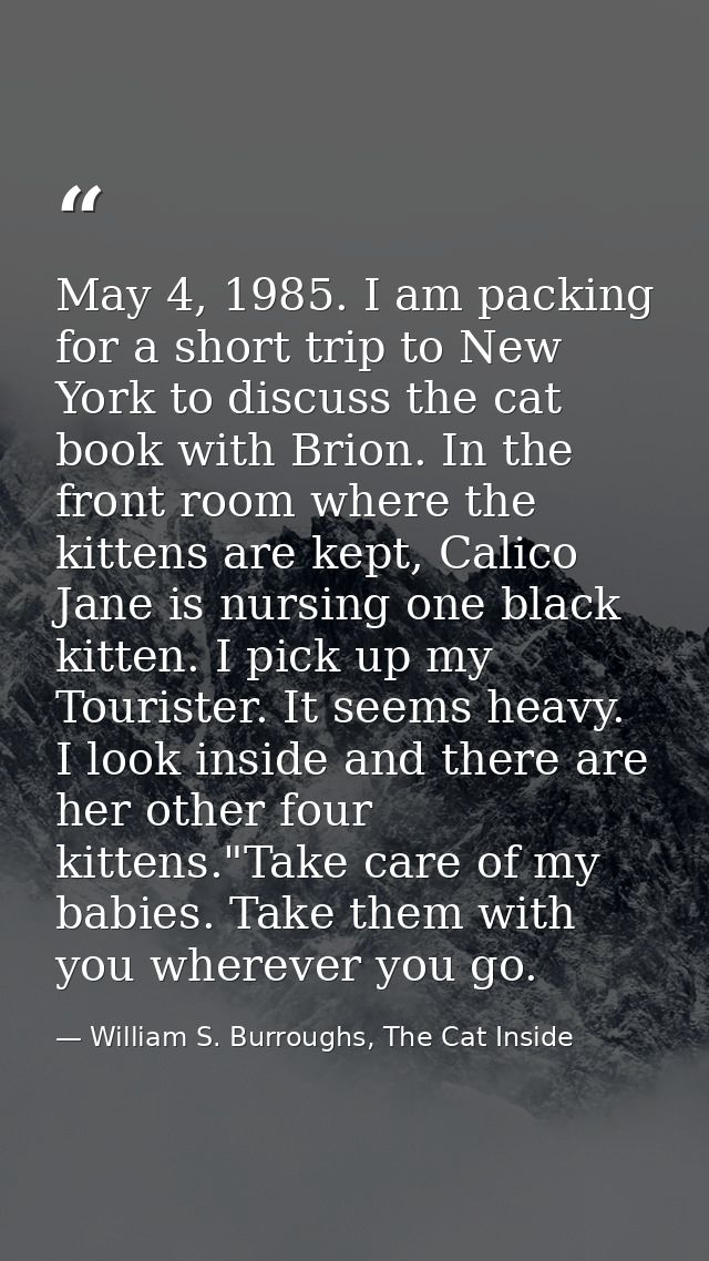 May 4, 1985. I am packing for a short trip to New York to discuss the cat book with Brion. In the front room where the k — William S. Burroughs, The Cat Inside