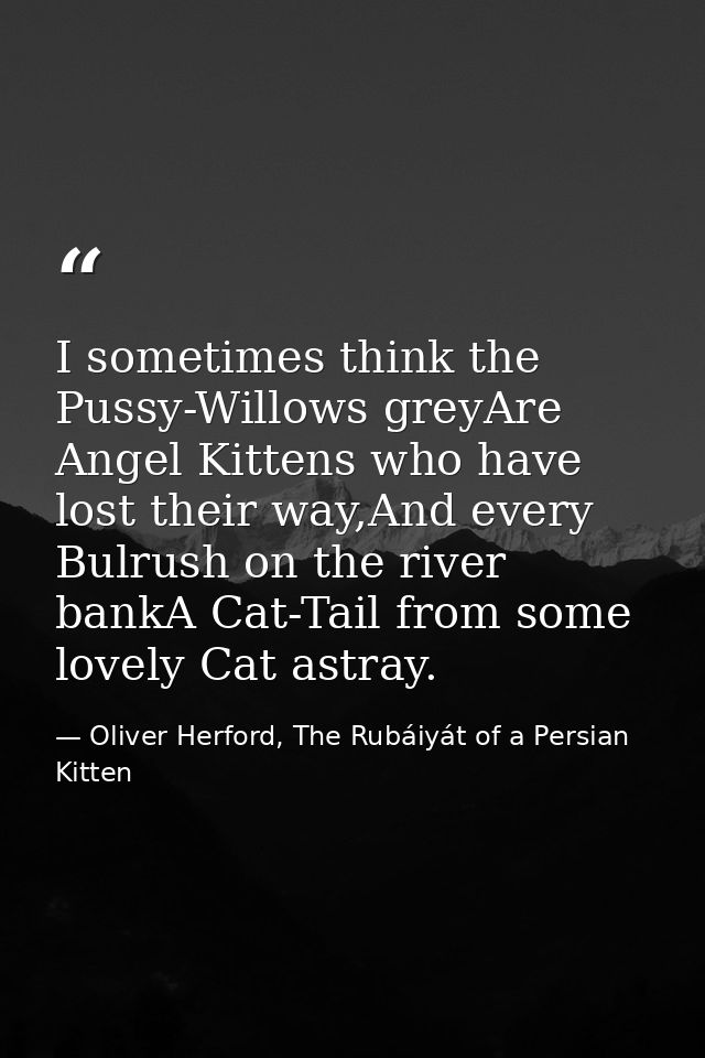 I sometimes think the Pussy-Willows greyAre Angel Kittens who have lost their way,And every Bulrush on the river bankA C — Oliver Herford, The Rubáiyát of a Persian Kitten