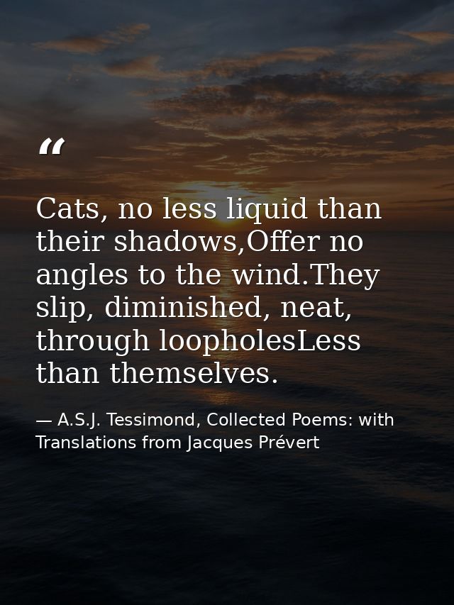 Cats, no less liquid than their shadows,Offer no angles to the wind.They slip, diminished, neat, through loopholesLess t — A.S.J. Tessimond, Collected Poems: with Translations from Jacques Prévert