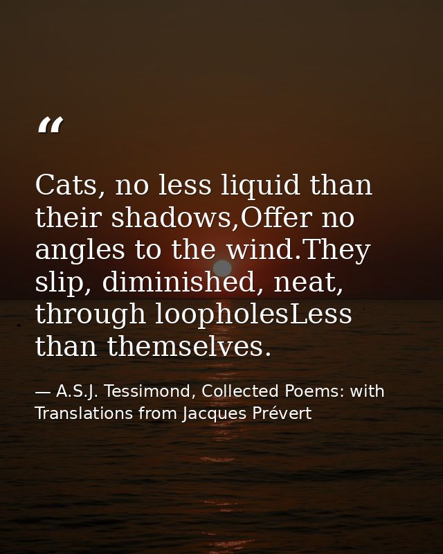 Cats, no less liquid than their shadows,Offer no angles to the wind.They slip, diminished, neat, through loopholesLess t — A.S.J. Tessimond, Collected Poems: with Translations from Jacques Prévert