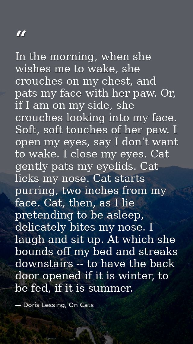 In the morning, when she wishes me to wake, she crouches on my chest, and pats my face with her paw. Or, if I am on my s — Doris Lessing, On Cats
