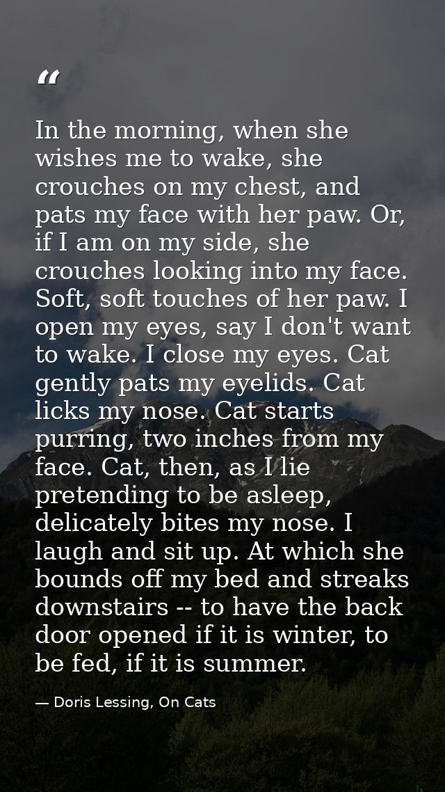 In the morning, when she wishes me to wake, she crouches on my chest, and pats my face with her paw. Or, if I am on my s — Doris Lessing, On Cats