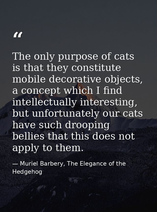 The only purpose of cats is that they constitute mobile decorative objects, a concept which I find intellectually intere — Muriel Barbery, The Elegance of the Hedgehog