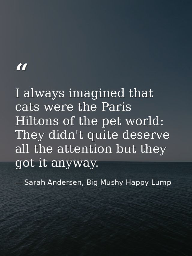 I always imagined that cats were the Paris Hiltons of the pet world: They didn't quite deserve all the attention but the — Sarah Andersen, Big Mushy Happy Lump