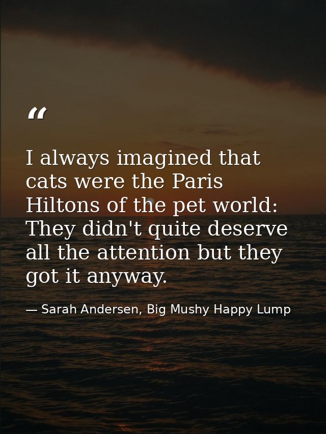 I always imagined that cats were the Paris Hiltons of the pet world: They didn't quite deserve all the attention but the — Sarah Andersen, Big Mushy Happy Lump