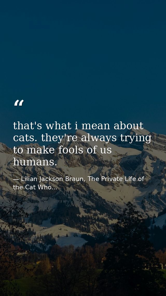 that's what i mean about cats. they're always trying to make fools of us humans. — Lilian Jackson Braun, The Private Life of the Cat Who...