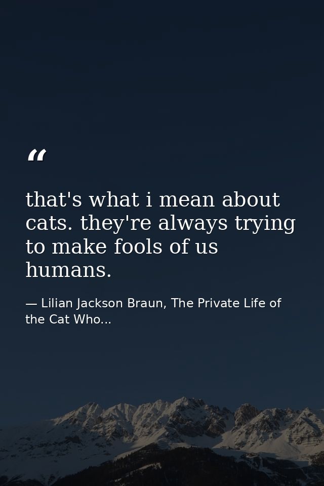 that's what i mean about cats. they're always trying to make fools of us humans. — Lilian Jackson Braun, The Private Life of the Cat Who...