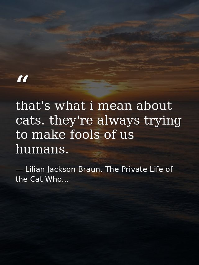 that's what i mean about cats. they're always trying to make fools of us humans. — Lilian Jackson Braun, The Private Life of the Cat Who...