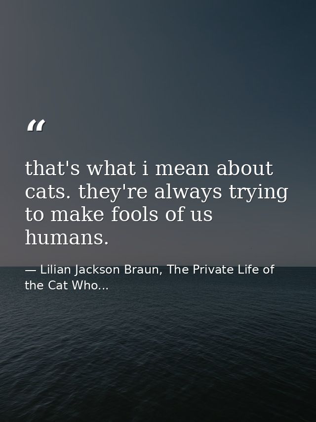that's what i mean about cats. they're always trying to make fools of us humans. — Lilian Jackson Braun, The Private Life of the Cat Who...