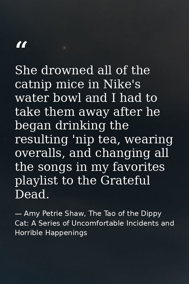 She drowned all of the catnip mice in Nike's water bowl and I had to take them away after he began drinking the resultin — Amy Petrie Shaw, The Tao of the Dippy Cat: A Series of Uncomfortable Incidents and Horrible Happenings