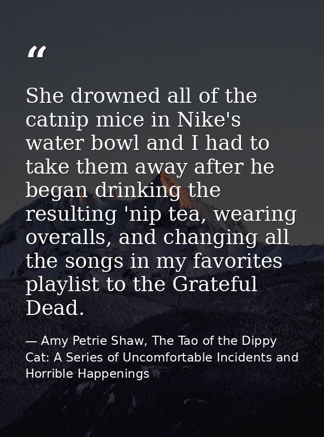 She drowned all of the catnip mice in Nike's water bowl and I had to take them away after he began drinking the resultin — Amy Petrie Shaw, The Tao of the Dippy Cat: A Series of Uncomfortable Incidents and Horrible Happenings