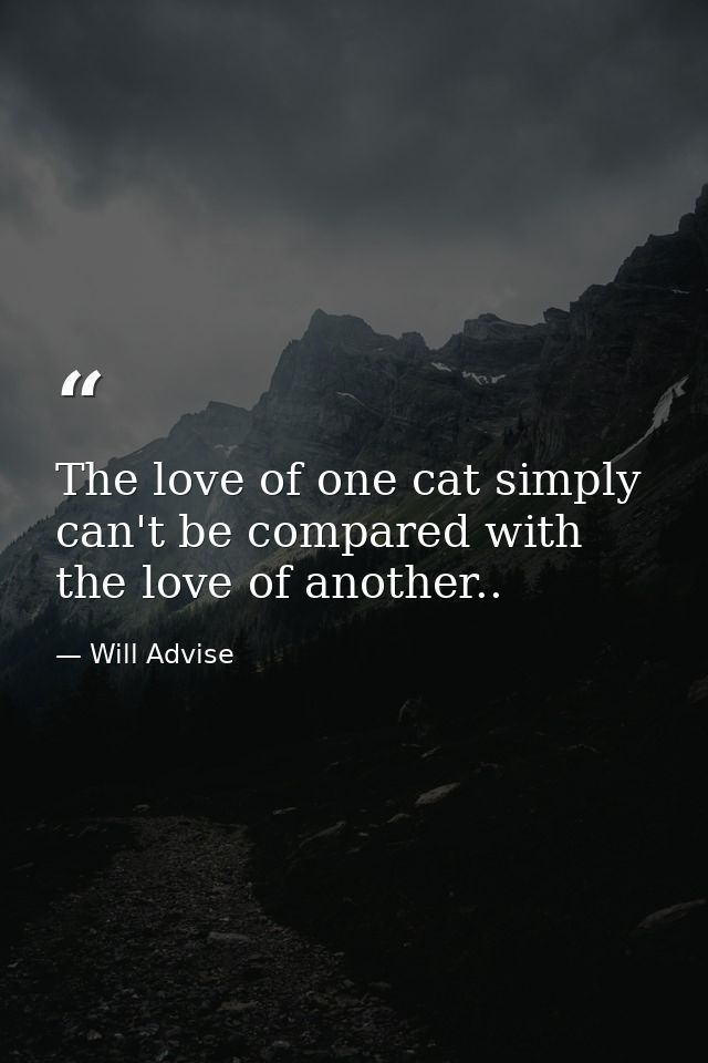 The love of one cat simply can't be compared with the love of another.. — Will Advise