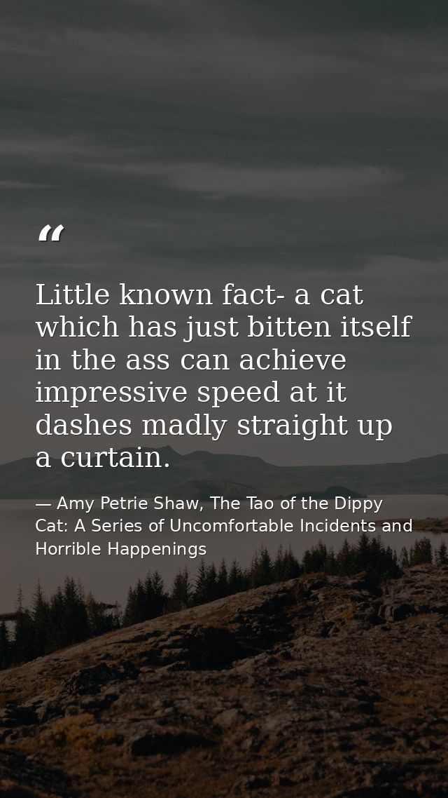 Little known fact- a cat which has just bitten itself in the ass can achieve impressive speed at it dashes madly straigh — Amy Petrie Shaw, The Tao of the Dippy Cat: A Series of Uncomfortable Incidents and Horrible Happenings