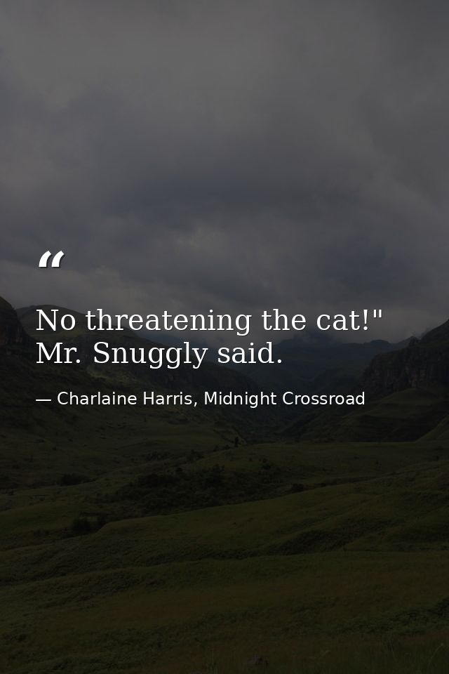 No threatening the cat!" Mr. Snuggly said. — Charlaine Harris, Midnight Crossroad