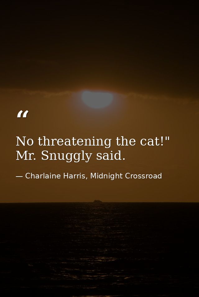 No threatening the cat!" Mr. Snuggly said. — Charlaine Harris, Midnight Crossroad