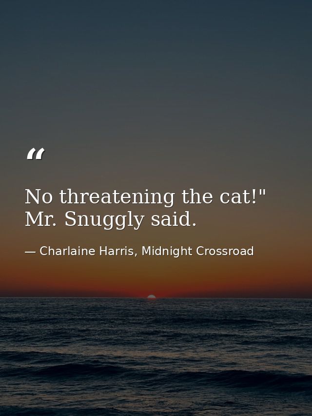 No threatening the cat!" Mr. Snuggly said. — Charlaine Harris, Midnight Crossroad