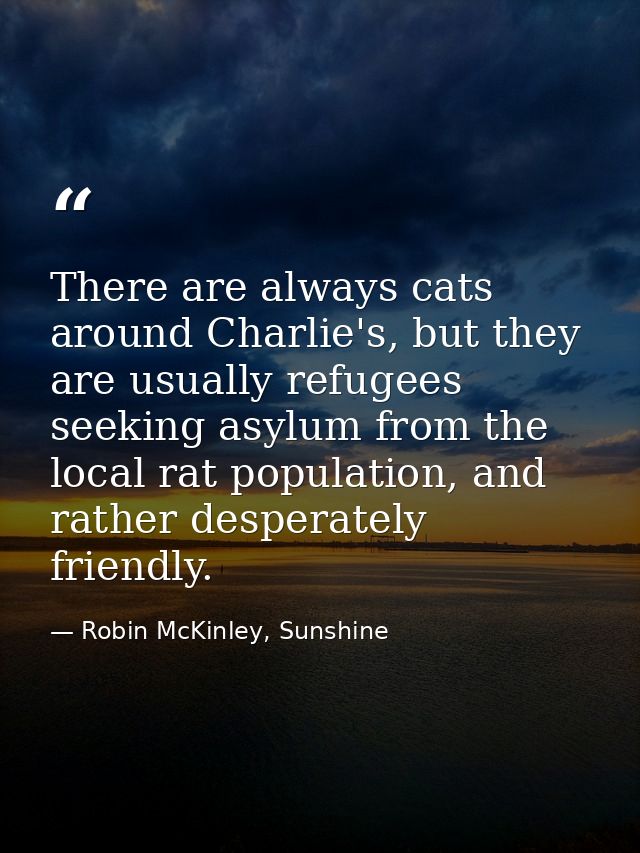 There are always cats around Charlie's, but they are usually refugees seeking asylum from the local rat population, and  — Robin McKinley, Sunshine