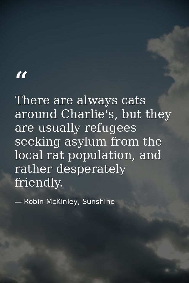 There are always cats around Charlie's, but they are usually refugees seeking asylum from the local rat population, and  — Robin McKinley, Sunshine