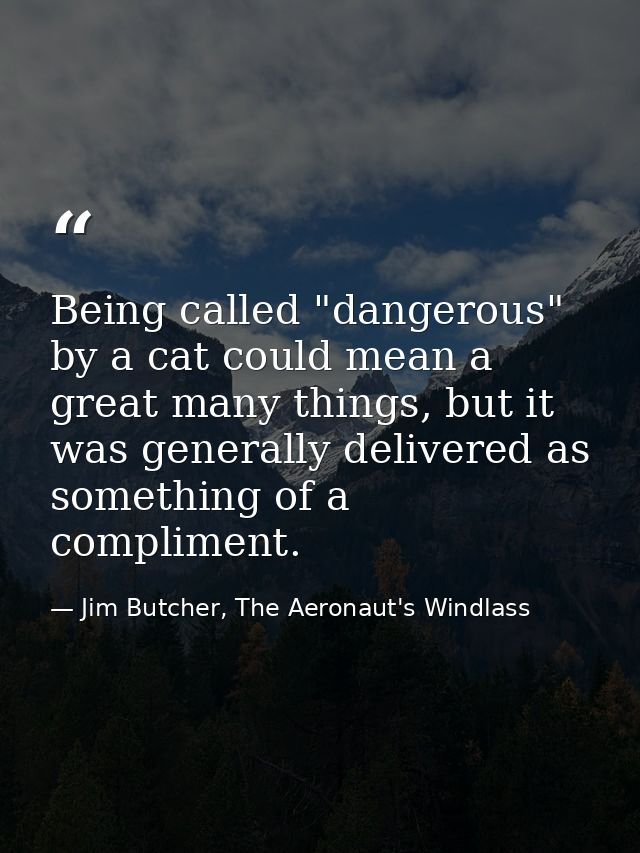 Being called "dangerous" by a cat could mean a great many things, but it was generally delivered as something of a compl — Jim Butcher, The Aeronaut's Windlass