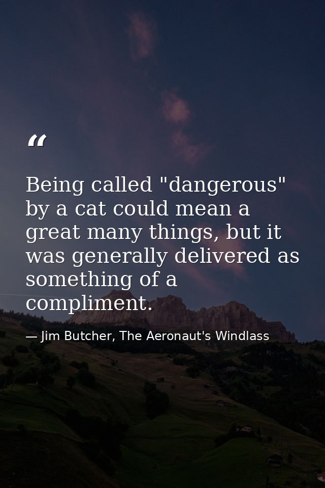 Being called "dangerous" by a cat could mean a great many things, but it was generally delivered as something of a compl — Jim Butcher, The Aeronaut's Windlass