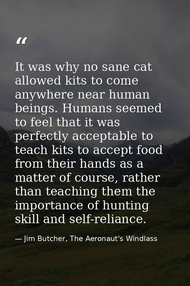It was why no sane cat allowed kits to come anywhere near human beings. Humans seemed to feel that it was perfectly acce — Jim Butcher, The Aeronaut's Windlass