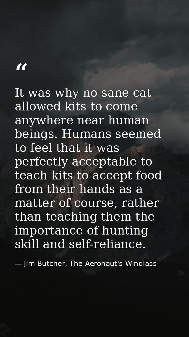 It was why no sane cat allowed kits to come anywhere near human beings. Humans seemed to feel that it was perfectly acce — Jim Butcher, The Aeronaut's Windlass