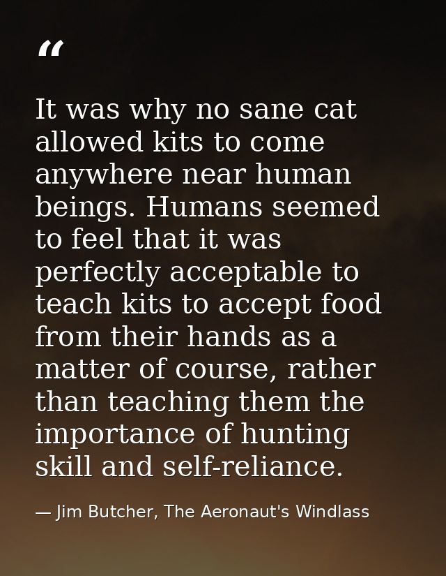 It was why no sane cat allowed kits to come anywhere near human beings. Humans seemed to feel that it was perfectly acce — Jim Butcher, The Aeronaut's Windlass
