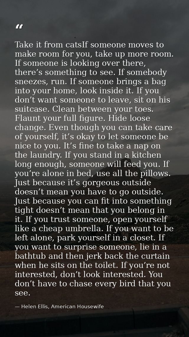 Take it from catsIf someone moves to make room for you, take up more room. If someone is looking over there, there’s som — Helen Ellis, American Housewife