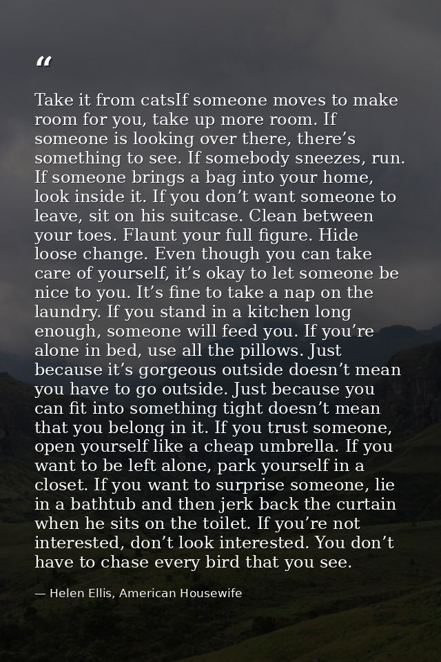 Take it from catsIf someone moves to make room for you, take up more room. If someone is looking over there, there’s som — Helen Ellis, American Housewife