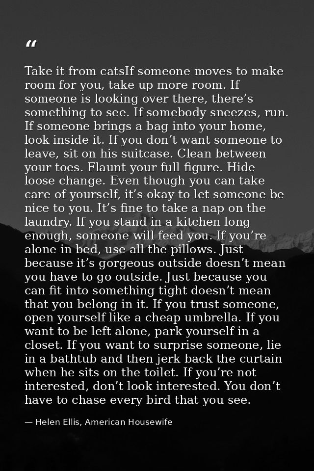 Take it from catsIf someone moves to make room for you, take up more room. If someone is looking over there, there’s som — Helen Ellis, American Housewife