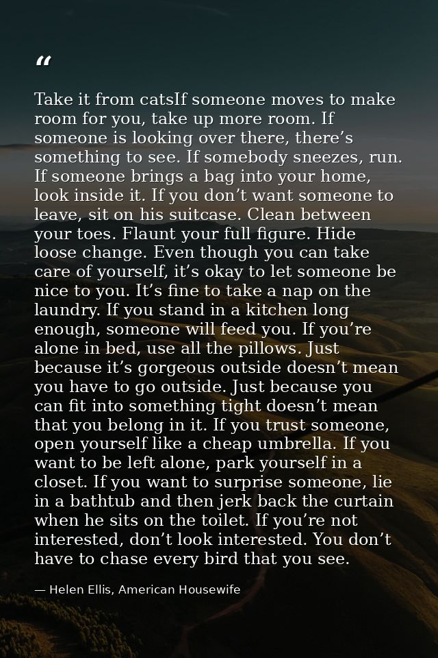 Take it from catsIf someone moves to make room for you, take up more room. If someone is looking over there, there’s som — Helen Ellis, American Housewife