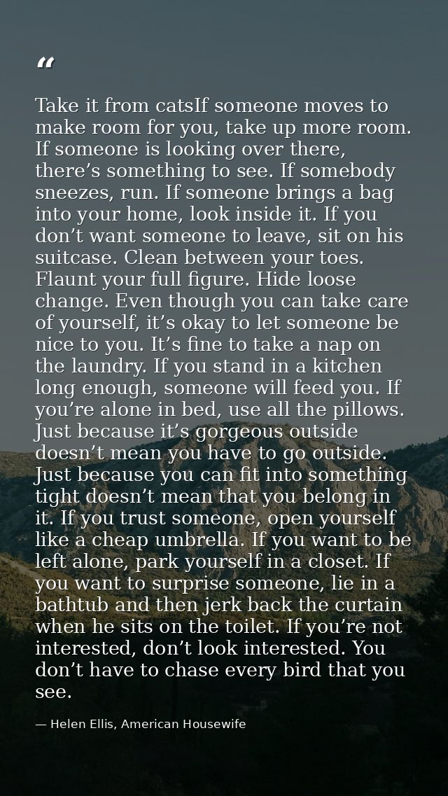 Take it from catsIf someone moves to make room for you, take up more room. If someone is looking over there, there’s som — Helen Ellis, American Housewife